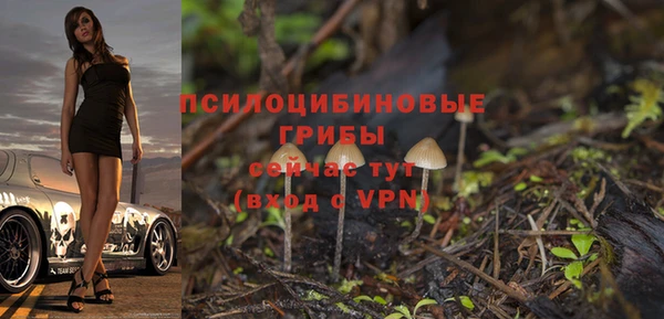 метадон Ладушкин
