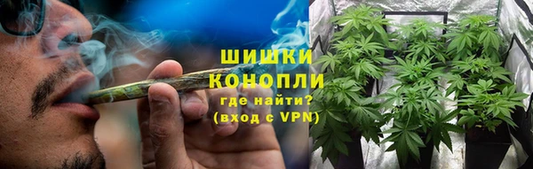 молекула духа Аркадак